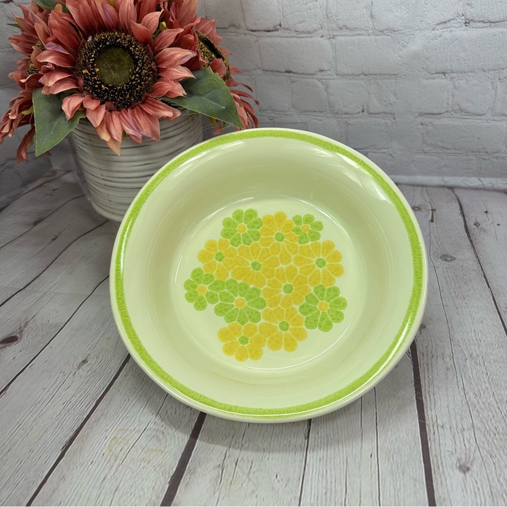 vtg 1970s picnic by Franciscan Earthenware 9" round vegetable bowl retro floral